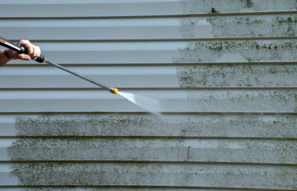 Best Vinyl Siding Pressure Washing in Shafer, MN