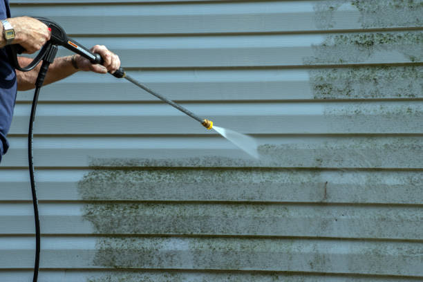 Best Building Exterior Pressure Washing in Shafer, MN